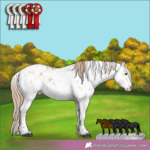 Horse Color:White Spotted Black Pearl Sabino 