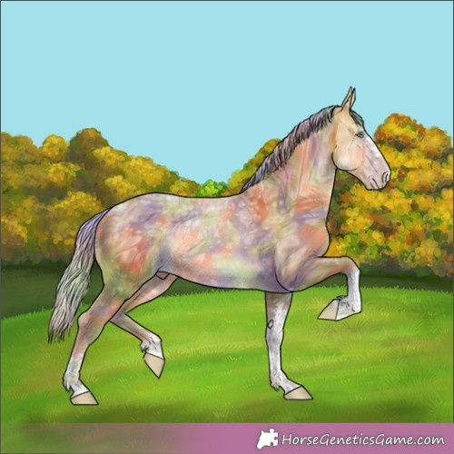 Horse Color: Nacre Chocolate Silver Sable Cream Champagne Ice Sabino Rabicano 