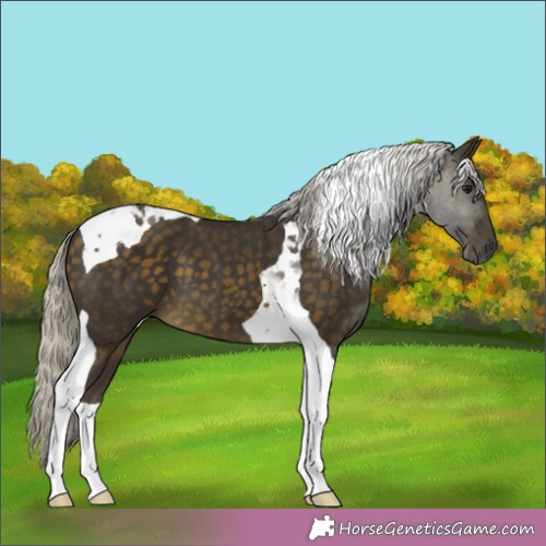 Horse Color: Silver Buckskin Tobiano 