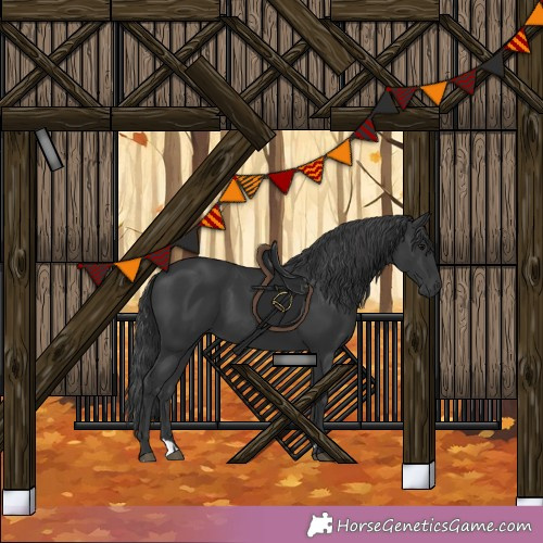 Horse Color:Black 