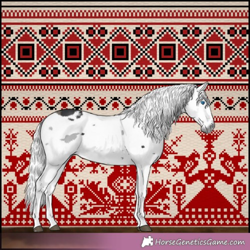 Horse Color:Black Merle 