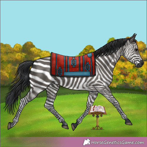 Horse Color:Grullo Rabicano 