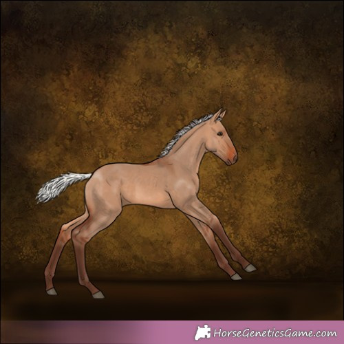 Horse Color: Silver Bay Dun 
