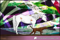 Horse Color:Bay Merle 