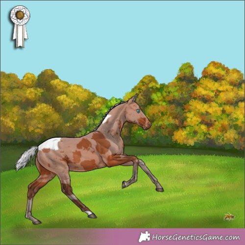 Horse Color:Silver Bay Merle 
