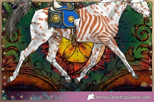 Horse Color:Unknown 
