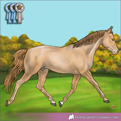 Horse Color:Chestnut Pearl