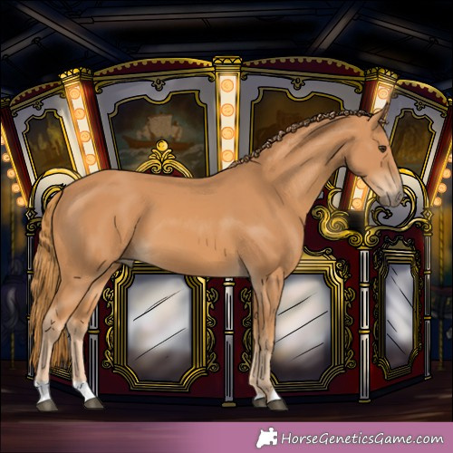 Horse Color:Unknown 