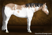 Horse Color:White Spotted Bay Roan Dun Frame Rabicano