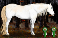 Horse Color:White Spotted Buckskin Pearl Dun Sabino