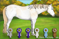 Horse Color:White Spotted Buckskin Pearl Dun 