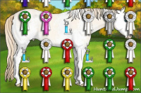 Horse Color:White Spotted Perlino Dun