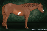 Horse Color:Liver Chestnut Frame 