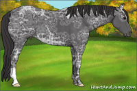 Horse Color:Smoky Black Ice 