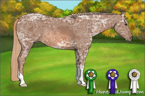 Horse Color: Chestnut Ice 