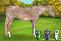 Horse Color:Chestnut Ice 