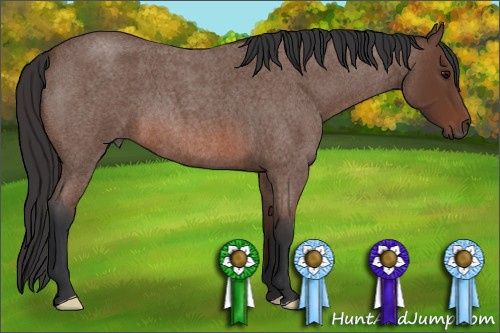 Horse Color: Bay Roan 