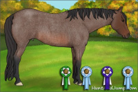 Horse Color:Bay Roan 