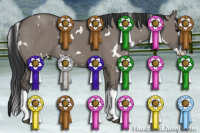 Horse Color:White Spotted Grullo Splash 