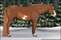Horse Color:Liver Chestnut Frame 