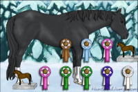 Horse Color:Brown 