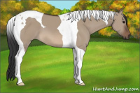 Horse Color:Brown Dun Tobiano 