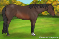 Horse Color:Brown 