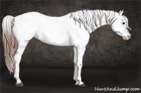Horse Color:Brown Tobiano Snowcap 