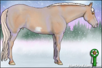 Horse Color:Silver Classic Champagne Frame 