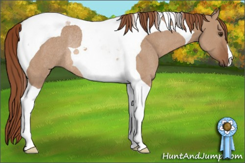Horse Color: Red Dun Tobiano Rabicano 