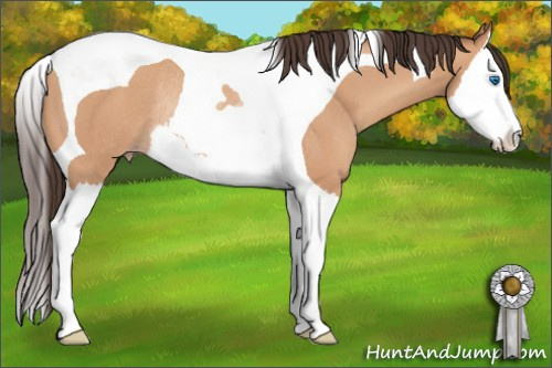 Horse Color: Amber Champagne Splash Tobiano Rabicano 