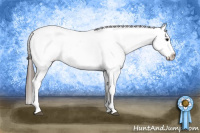 Horse Color:White Spotted Black Snowcap 