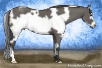 Horse Color:White Spotted Grullo Frame