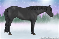 Horse Color:Brown Rabicano 