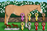 Horse Color:Chestnut Splash 