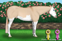 Horse Color:Red Dun Splash 