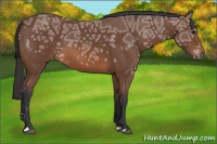 Horse Color:Bay Ice 