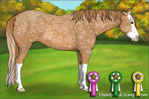 Horse Color: Chestnut Ice Splash 