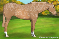 Horse Color:Chestnut Ice 