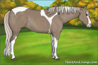 Horse Color:Silver Grullo Splash Tobiano 