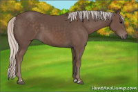 Horse Color:Silver Black 