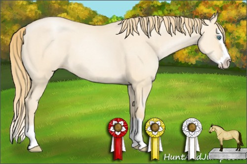 Horse Color: Smoky Grullo Pearl Sabino Splash 