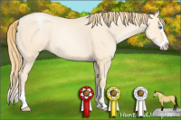 Horse Color:Smoky Grullo Pearl Sabino Splash