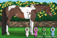 Horse Color:Bay Roan Tobiano 