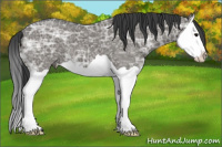 Horse Color:Grullo Ice Splash