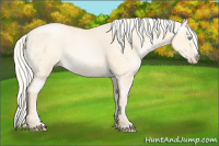 Horse Color:Silver Buckskin Ice Pearl Dun Sabino Splash 