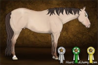 Horse Color:Amber Champagne Dun Sabino Rabicano