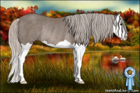 Horse Color:Silver Black Splash Rabicano 