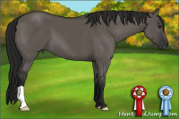 Horse Color:Gray Smoky Grullo 