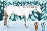 Horse Color:Bay Appaloosa Rabicano 